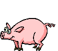 pigs-r-us